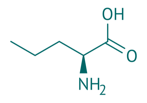 L-Norvalin, 97% 