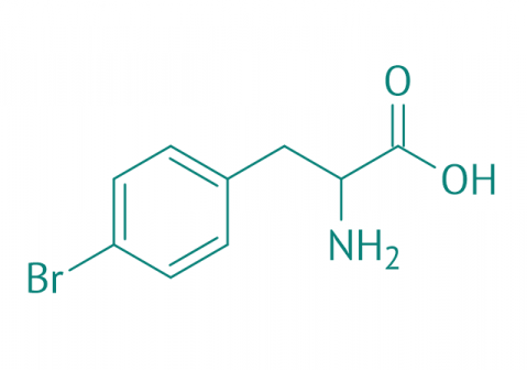 4-Brom-DL-phenylalanin, 95% 