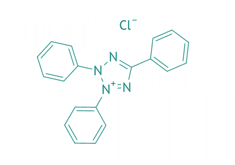 2,3,5-Triphenyl-tetrazoliumchlorid, 98% 