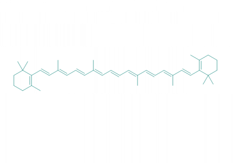 beta-Carotin, 98% 