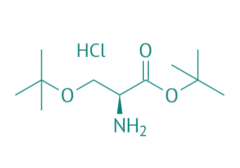 H-Ser(tBu)-OtBu HCl, 97% 