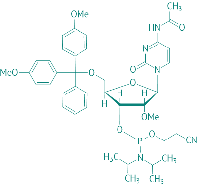DMT-2'O-Methyl-rC(ac) Phosphoramidit, 95% 