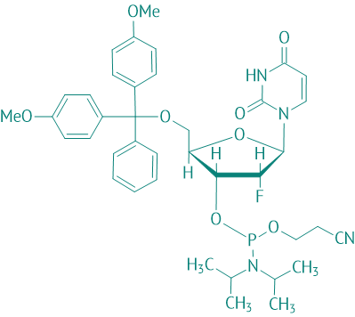 DMT-2'Fluor-dU Phosphoramidit, 95% 