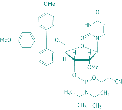 DMT-2'O-Methyl-rU Phosphoramidit, 95% 