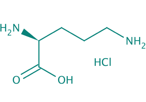 L-Ornithin HCl, 98% 