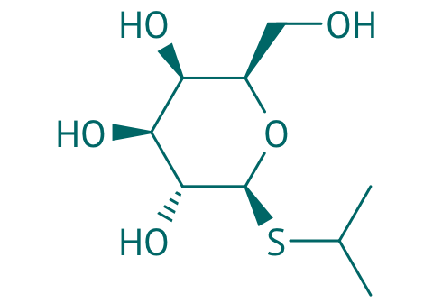 IPTG, 98% 