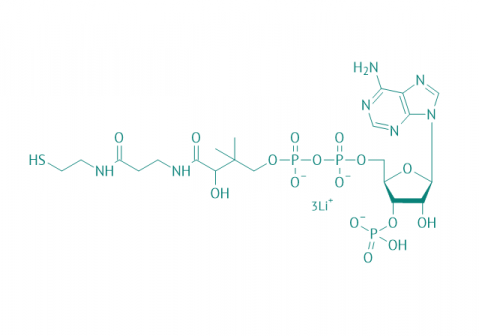 Coenzym A Trilithiumsalz, 80% 