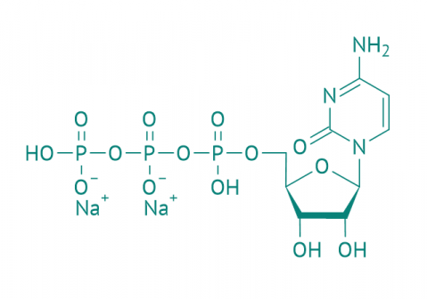 Cytidin-5'-triphosphat Dinatriumsalz, 97% 