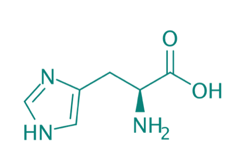 L-Histidin, 98% 