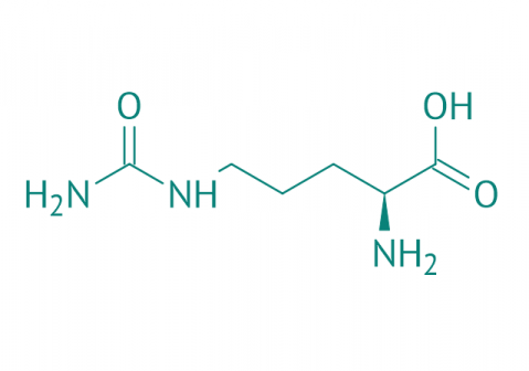 L-Citrullin, 98% 