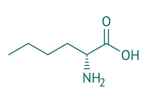 D-Norleucin, 98% 