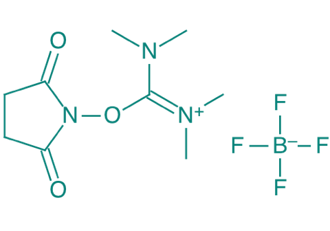 TSTU, 95% 