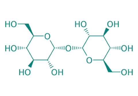 D-(+)-Trehalose Dihydrat, 97% 