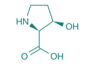 cis-L-3-Hydroxyprolin, 98% 