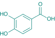 3,4-Dihydroxybenzoesure, 98% 