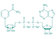 NADH Na2, 95% 