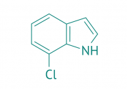7-Chlorindol, 98% 