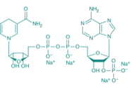 NADPH Na4, 95% 