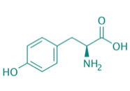 L-Tyrosin, 98% 