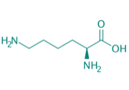 L-Lysin, 98% 