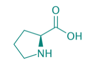 L-Prolin, 98% 