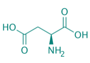 L-Asparaginsure, 98% 