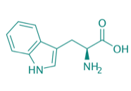 L-Tryptophan, 98% 