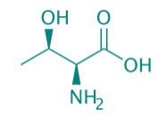 L-Threonin, 98% 