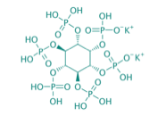 Phytinsure-dikaliumsalz, 98% 