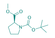 Boc-Pro-OMe, 97% 