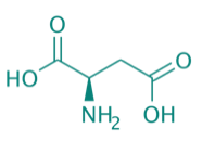 D-Asparaginsure, 98% 