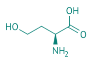 L-Homoserin, 98% 