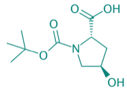 Boc-Hyp-OH, 97% 