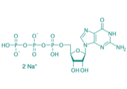 Guanosin-5'-triphosphat Dinatriumsalz, 89% 