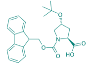 Fmoc-Hyp(tBu)-OH, 97% 