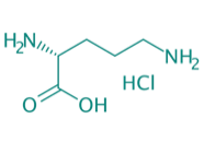 D-Ornithin Hydrochlorid, 98% 