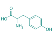 DL-Tyrosin, 98% 