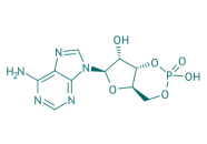 Adenosin-3',5'-cyclophosphat, 98% 