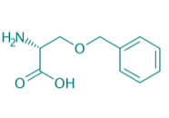 H-D-Ser(Bzl)-OH, 97% 