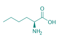 L-Norleucin, 97% 