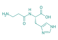 L-Carnosin, 98% 