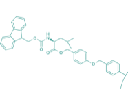 Fmoc-Leu-Wang-Harz (1% DVB; 100-200 mesh; 0,3-0,8 mmol/g)
