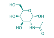 N-Acetyl-D-galactosamin, 95% 