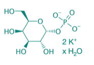 alpha-D-Galactose-1-phosphat 2K H2O, 99% 