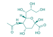 N-Acetylneuraminsure, 97% 