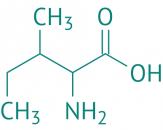 DL-Isoleucin, 98% 