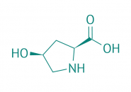 Tris(pyrrolidino)phosphinoxid, 98% 