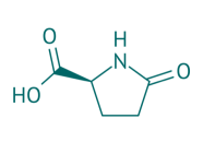 L-Pyroglutaminsure, 98% 