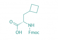Fmoc-Ala(3-cBu)-OH, 98% 