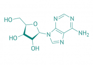 Adenosin, 98% 